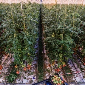 Feeding People in a Changing World Seresag