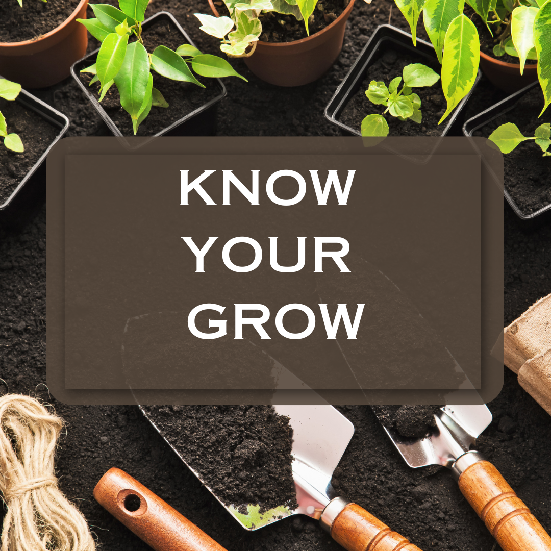 Greenhouse & Indoor diseases