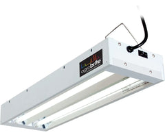 Agrobrite T5 48W 2 ft 2-Tube Fixture with Lamps