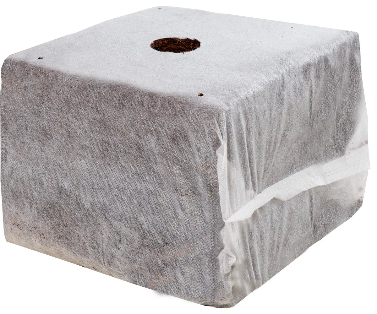 GROW!T Commercial Coco, RapidRIZE Block 6 in. x 6 in. x 4 in. - Case of 40