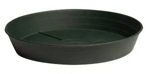 Green Premium Saucer, 8 in. - Pack of 25