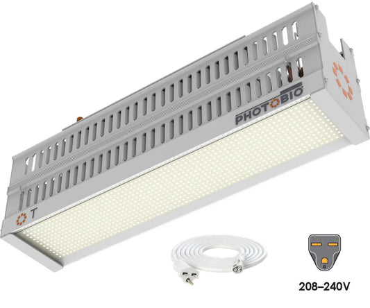 PHOTOBIO T LED, 330W, 100-277V S4, (10 ft 208-240V Cord)