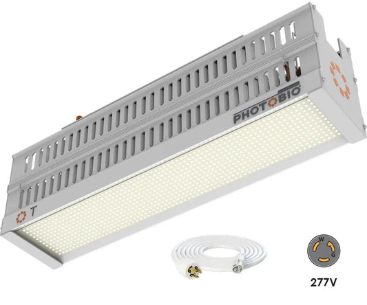 PHOTOBIO T LED, 330W, 100-277V S4, (10 ft 277V L7-15P Cord)