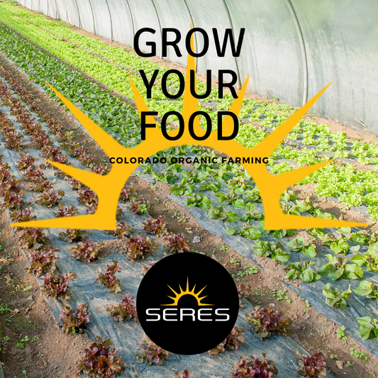 Growing Your Food: A beginners guide to sustainable gardening Seresag