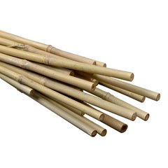 4' Natural Bamboo Stakes Bulk (500/bale) - Default Title (800848)