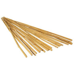 Bamboo Supply Natural Bamboo Stake - 4ft - 8-10mm Diam - Natural