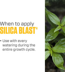 SILICA BLAST 2.5 Gallon