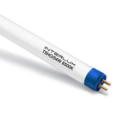 Interlux T5 Grow Bulb 4' 54W (6500K) - Case of 20