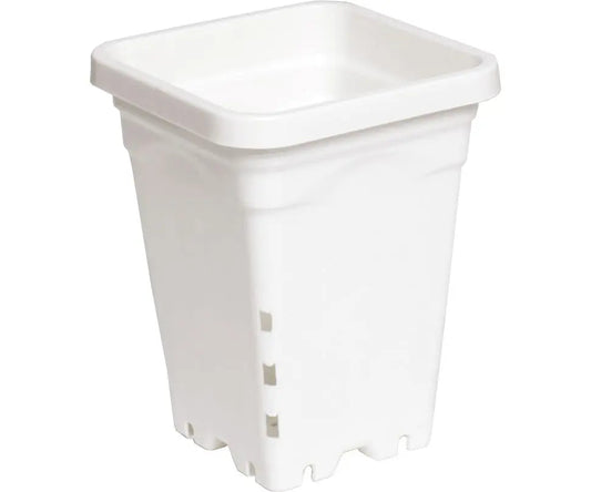 Active Aqua 5 in. x 5 in. Square White Pot, 7 in. Tall - Case of 100