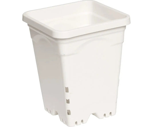 Active Aqua 6 in. x 6 in. Square White Pot, 8 in. Tall - Case of 50