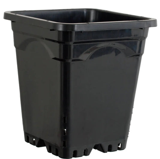 Active Aqua 9 in. x 9 in. Square Black Pot, 10 in. Tall - Case of 24