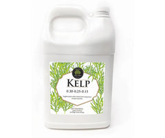 Age Old Kelp, 1 Gallon