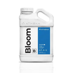 Athena Bloom B - 1 Gallon