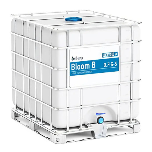 Athena Bloom B 275 Gallon