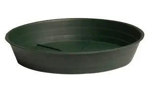 Green Premium Saucer 14 in. - Pack of 10