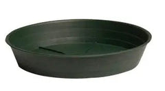Green Premium Saucer 16 in. - Pack of 10