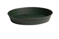 Green Premium Saucer, 10 in. - Pack of 25