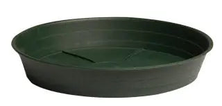 Green Premium Saucer, 12 in. - Pack of 10