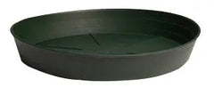 Green Premium Saucer, 6 in. - Pack of 25
