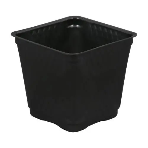 Gro Pro Square Plastic Pot Black 3.5 in.