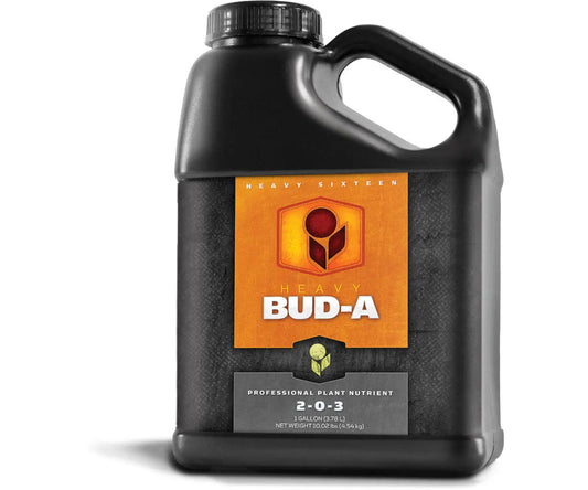 HEAVY 16 Bud A, 1 Gallon