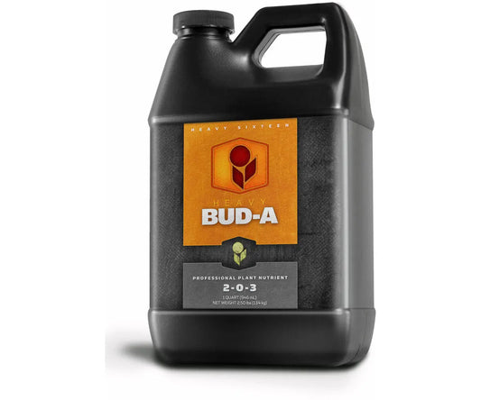 HEAVY 16 Bud A, 32 oz.