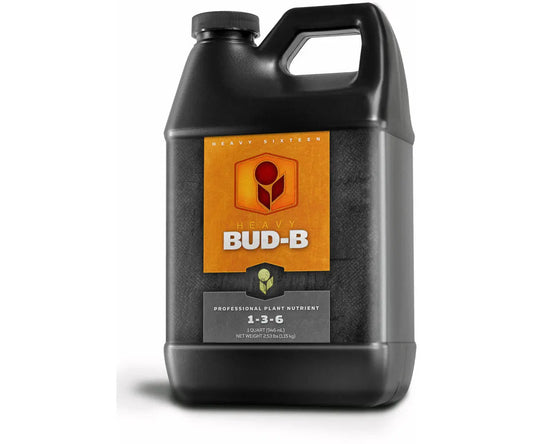 HEAVY 16 Bud B, 32 oz.