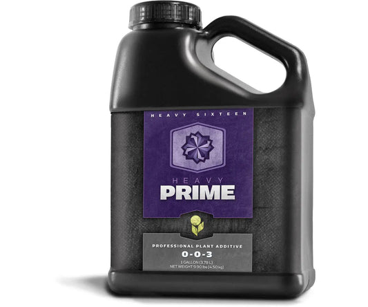 HEAVY 16 Prime, 1 Gallon