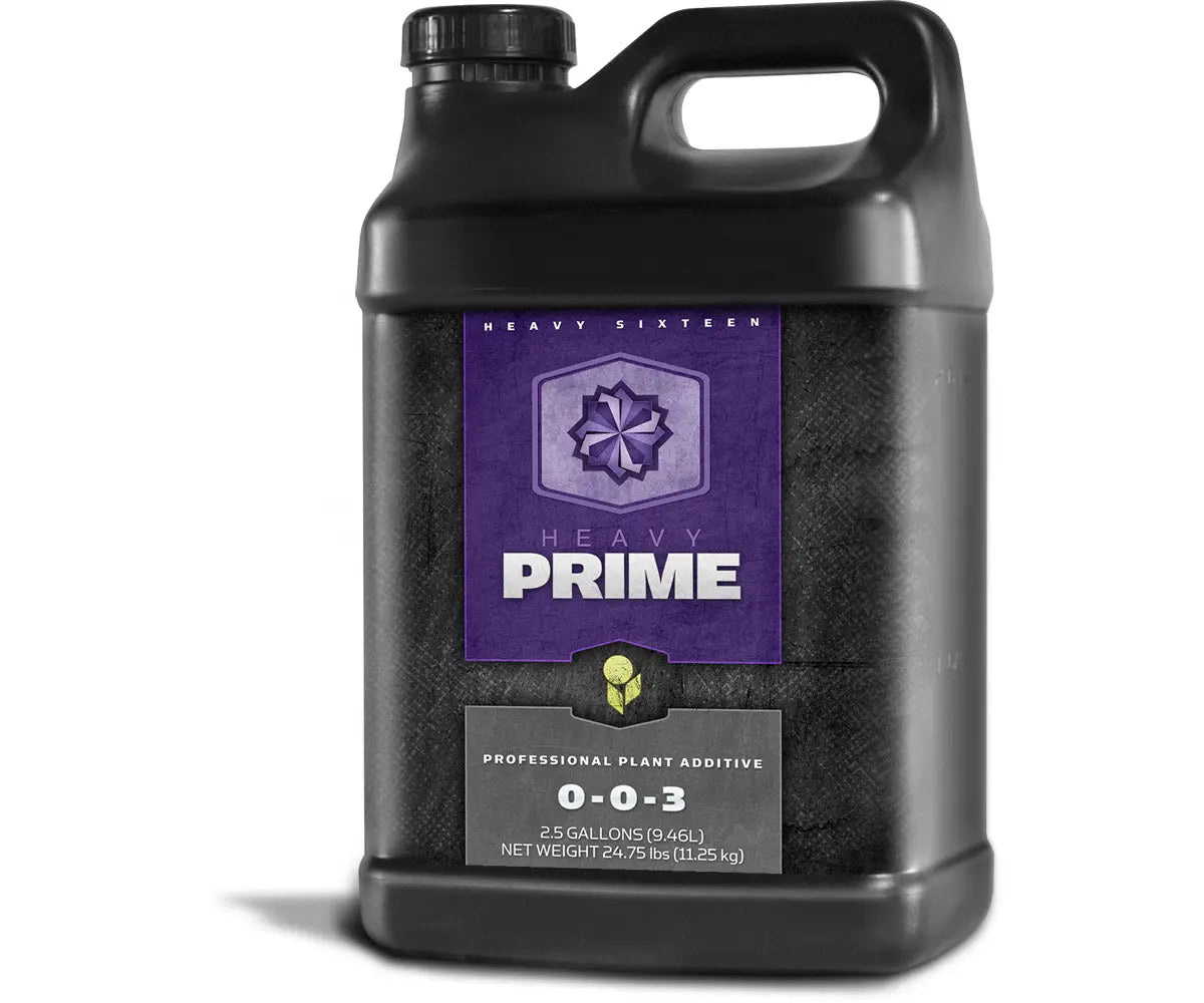 HEAVY 16 Prime, 2.5 Gallon