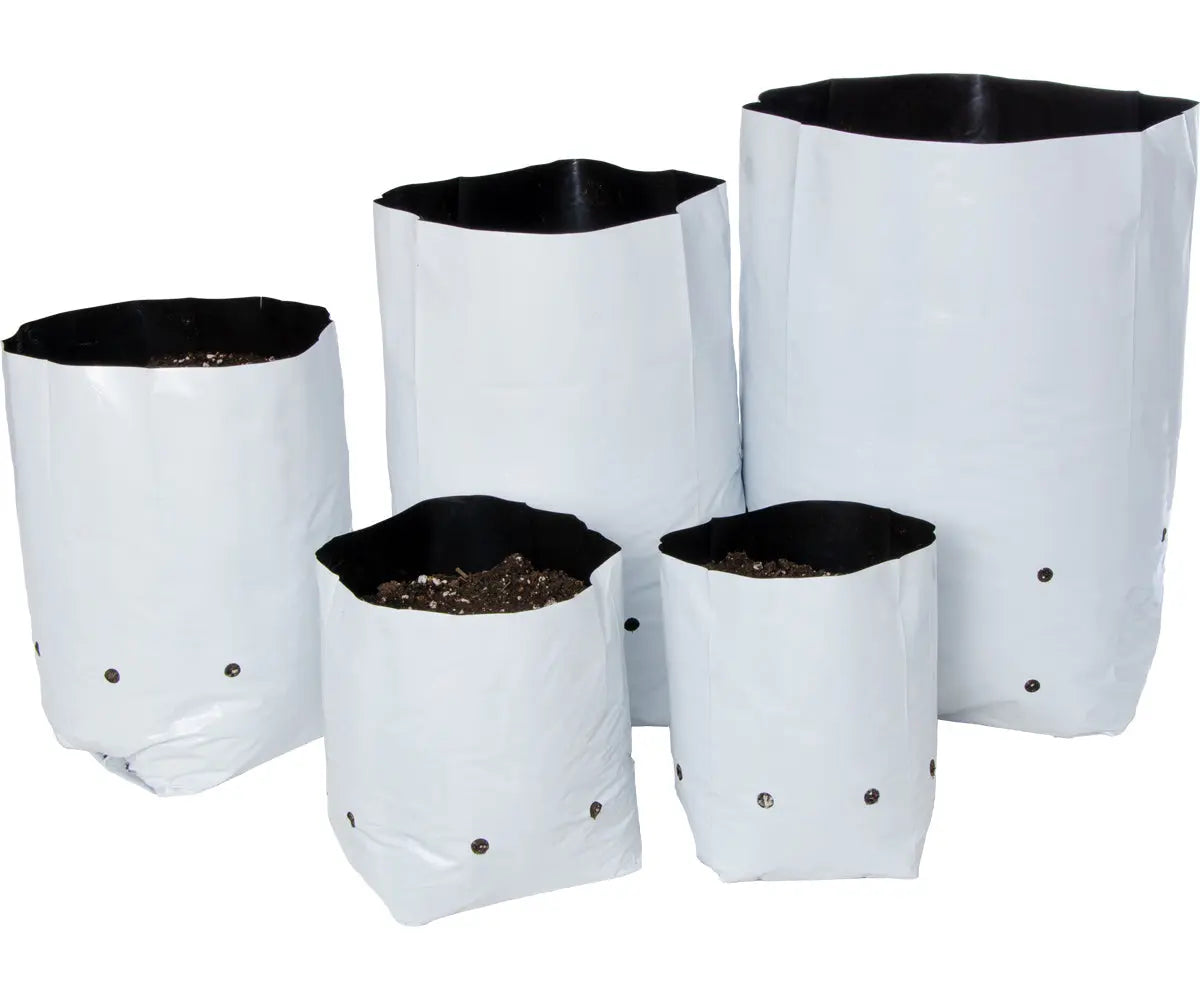 planting plastic bags Hydrofarm Black & White Grow Bag 7 gal (16 packs of 25)
