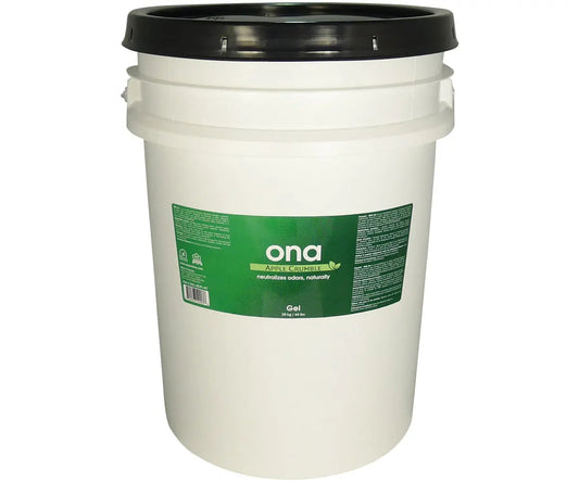 Ona Gel, Apple Crumble, 20 Liter