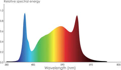 Phantom PHENO 440 LED, 440W, 100-277V, MP Spectrum