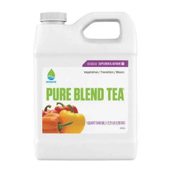 Pure Blend® Tea 1 Quart