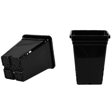 SUNPACK® Tall Square Pot - 12in x 12in - Black (24 Pack)