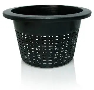 Wide Lip Bucket Basket, 10 in. - Bag of 50