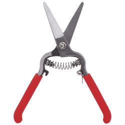 Zenport Z275 8-inch Forged Straight Blade Needle nose Shear